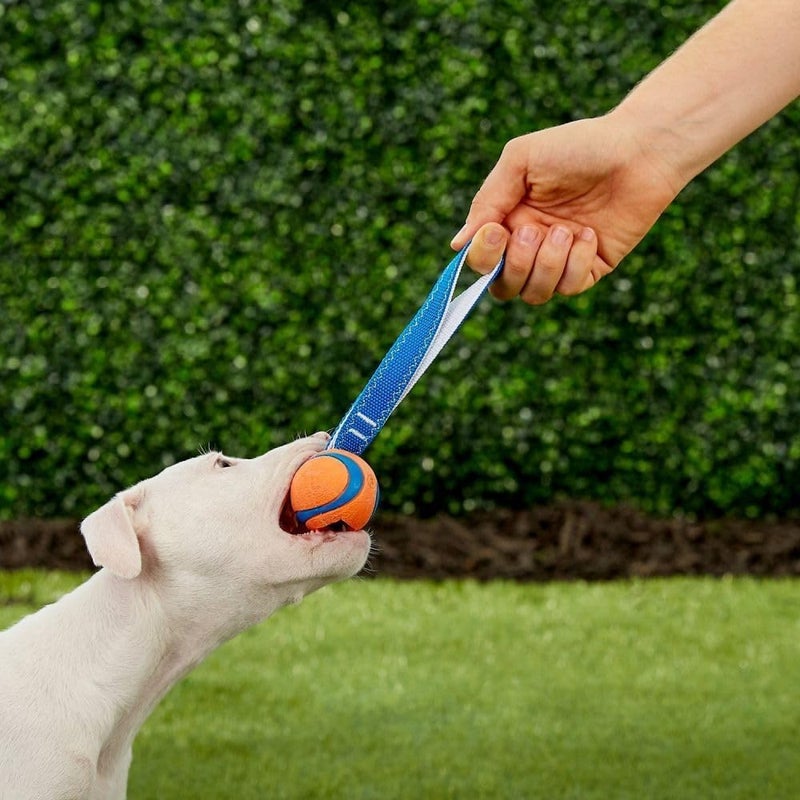 Chuckit! Ultra Tug Dog Toy, Small Fetch and Dog Ball Tug Toy for Dogs 0-20 Pounds - Image 3